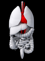 Similar image 8181057