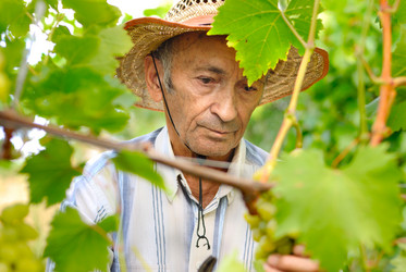 Similar image 8181071