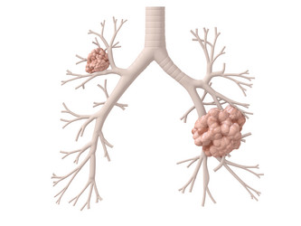 Similar image 8181073