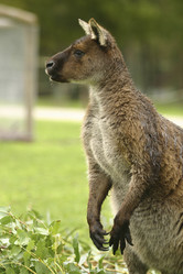 Similar image 8181127