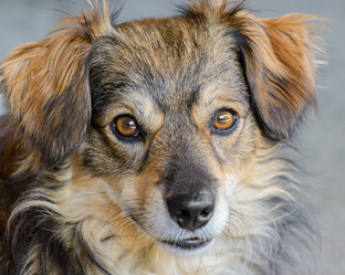 Similar image 8181163