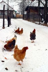 Similar image 8181182