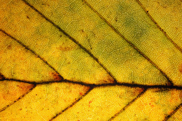 Similar image 8181223