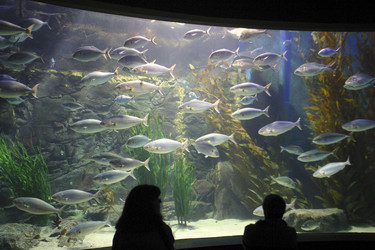 Similar image 8181248