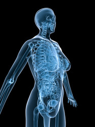 Similar image 8181255