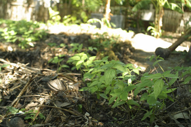 Similar image 8181257