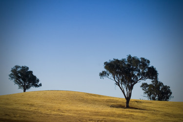 Similar image 8181274