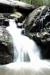 Similar image 8181299