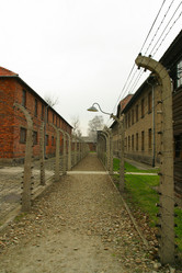 Similar image 8181311