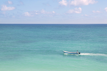 Similar image 8181314