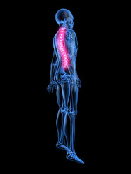 Similar image 8181385