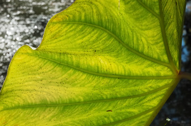 Similar image 8181391