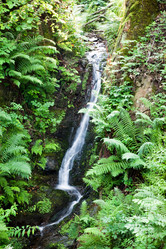 Similar image 8181408