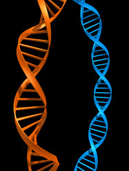 Similar image 8181412