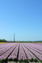 Similar image 8181438