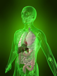 Similar image 8181452