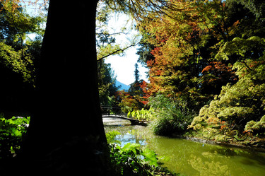 Similar image 8181509