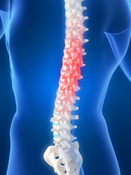 Similar image 8181516