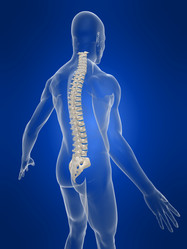 Similar image 8181549