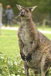 Similar image 8181558