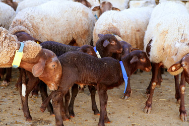 Similar image 8181595