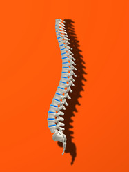 Similar image 8181621