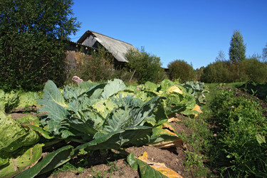 Similar image 8181624