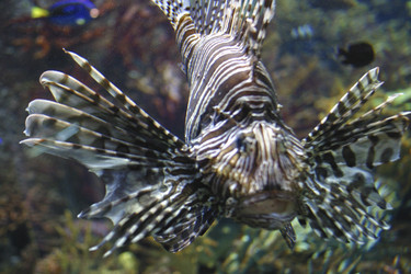 Similar image 8181653