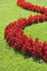 Similar image 8181678