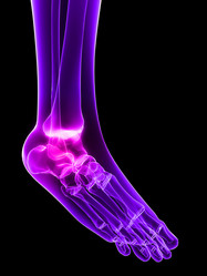 Similar image 8181725