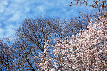 Similar image 8181727