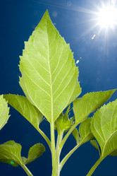 Similar image 8181741