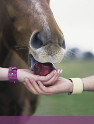 Similar image 8181758