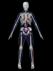 Similar image 8181799