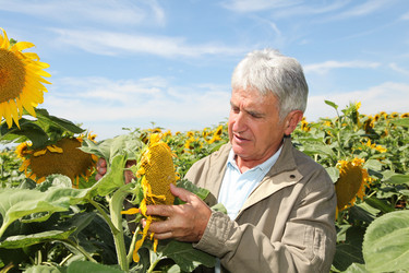 Similar image 8181815