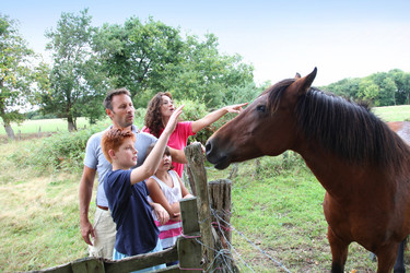 Similar image 8181870