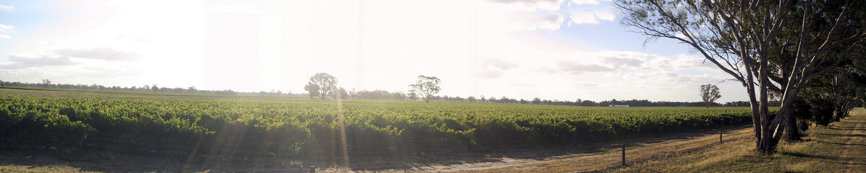 Similar image 8181932