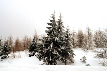 Similar image 8181947