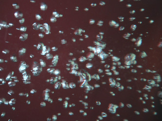 Similar image 8181957