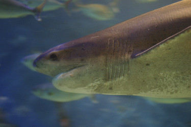 Similar image 8181969