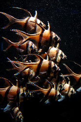 Similar image 8181998