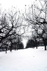 Similar image 8182004