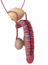 Similar image 8182032