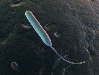 Similar image 8182049