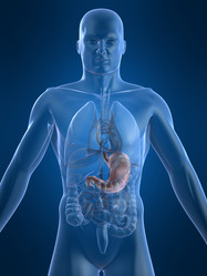 Similar image 8182082