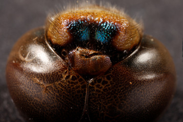 Similar image 8182097