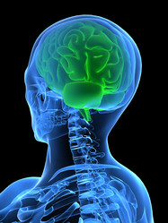 Similar image 8182102