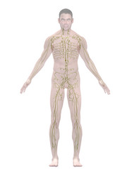 Similar image 8182152