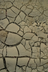 Similar image 8182159