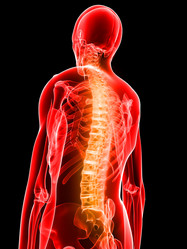 Similar image 8182193